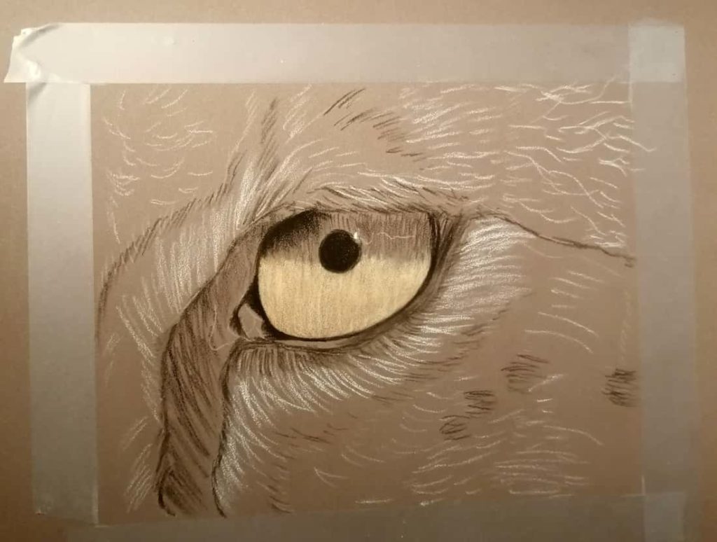 Primo passaggio di colorazione