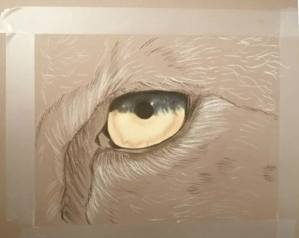 Secondo passaggio di colorazione