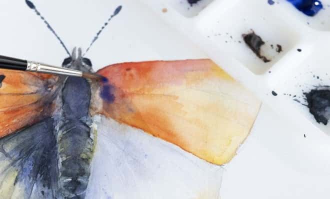 Le antenne della farfalla da dipingere