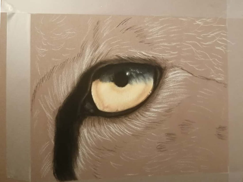 Terzo passaggio di colorazione