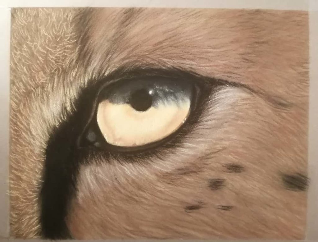 Quinto passaggio di colorazione