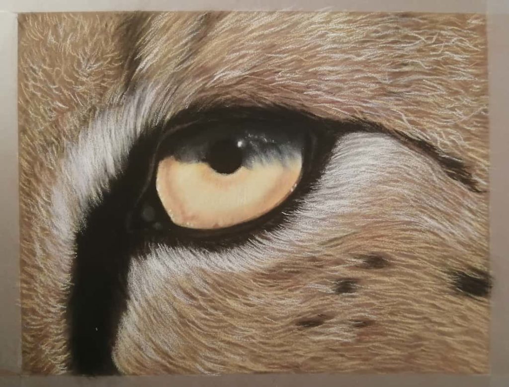 Sesto passaggio di colorazione
