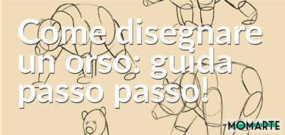 Come disegnare un orso