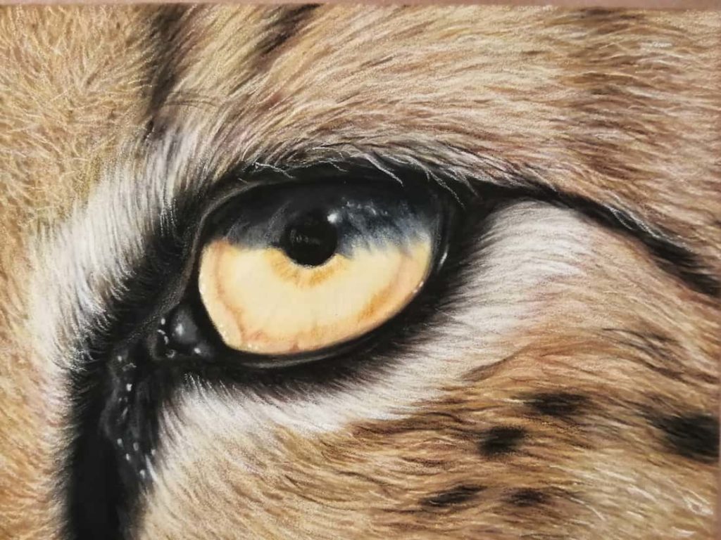 Ottavo passaggio di colorazione