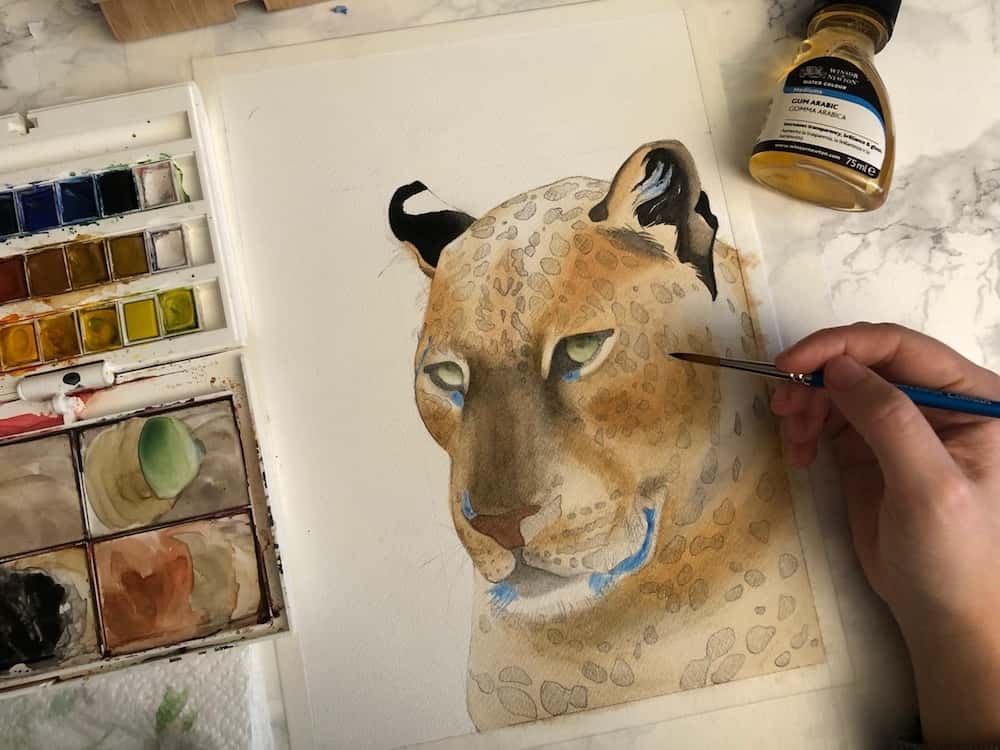 Dipingiamo gli occhi del leopardo usando il verde giallastro