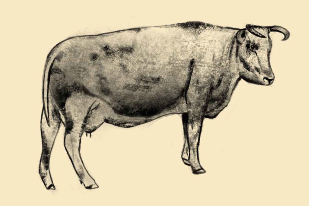 Il disegno della mucca finito