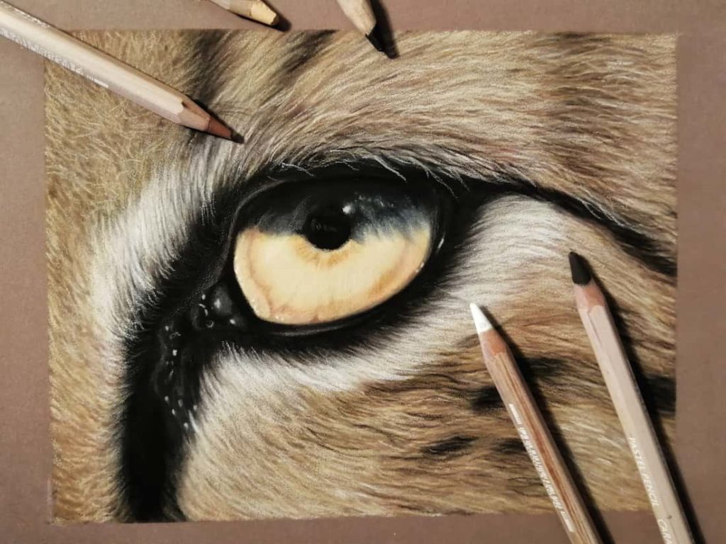 Il disegno finito